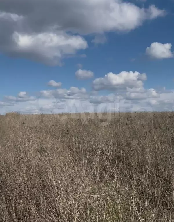 Участок 5,8 сот. (ИЖС) - Фото 1