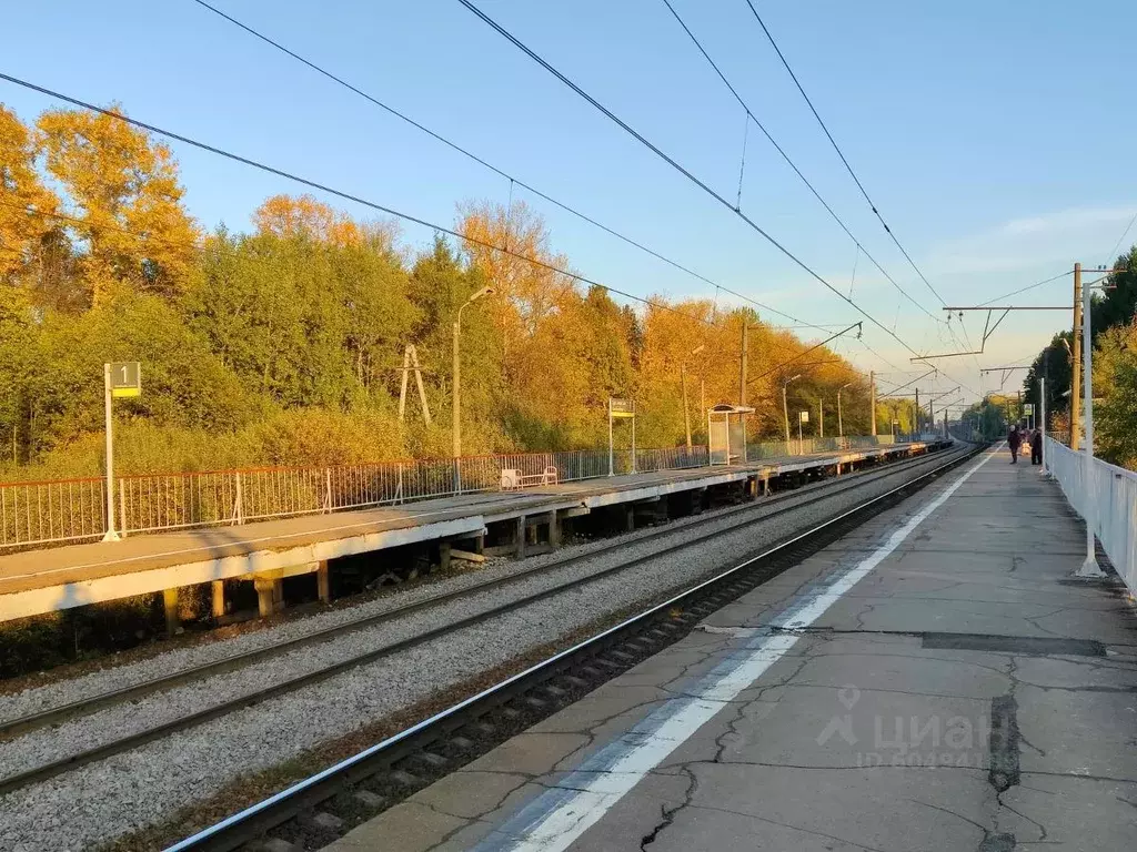 Участок в Московская область, Истра городской округ, д. Рубцово  (6.0 ... - Фото 0