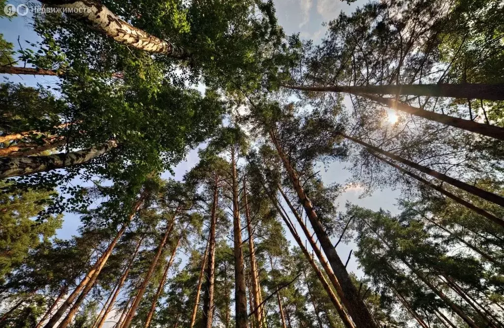 Участок в деревня Рождественно, 4А (15 м) - Фото 0