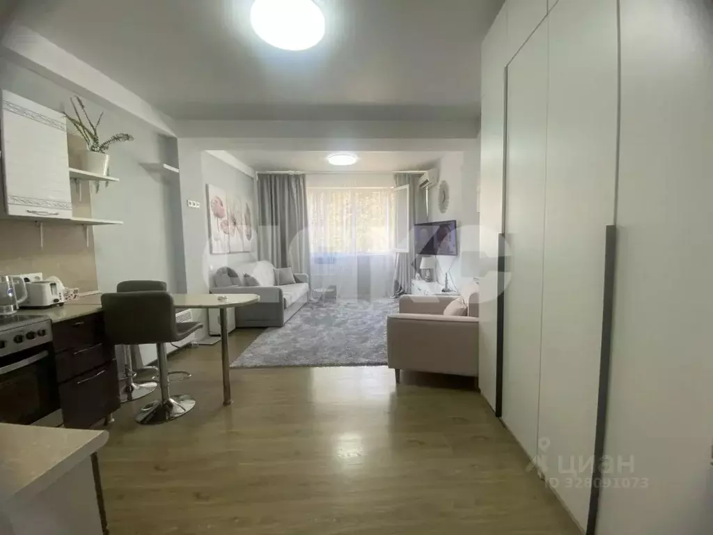 Студия Краснодарский край, Сочи ул. Ручей Видный, 68 (31.0 м) - Фото 1