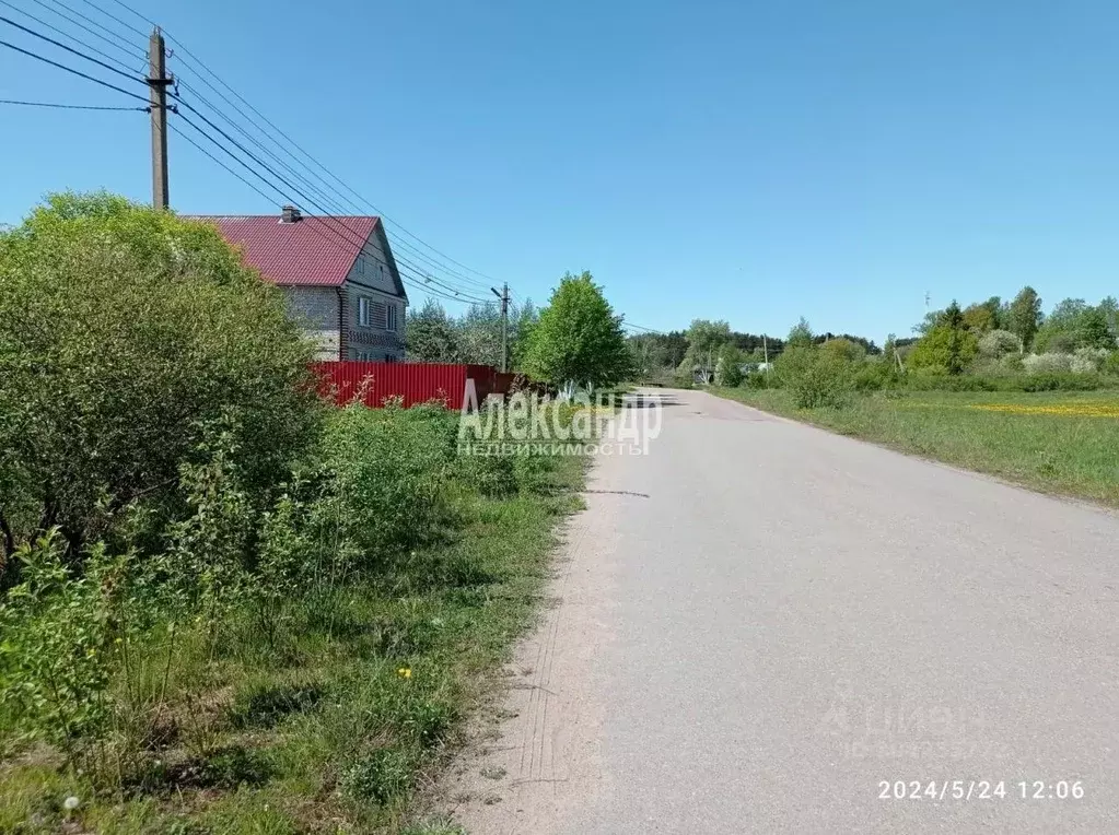 Участок в Ленинградская область, Приозерский район, Ромашкинское ... - Фото 0