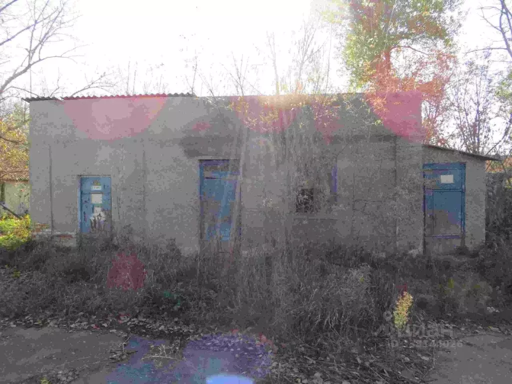 Помещение свободного назначения в Воронежская область, Таловая рп ул. ... - Фото 1