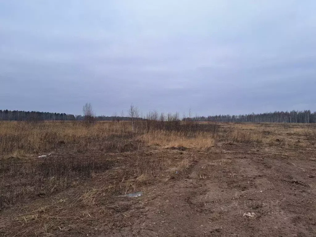 Участок в Московская область, Кашира Ожерелье мкр,  (12.02 сот.) - Фото 0