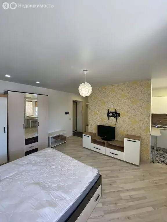 Квартира-студия: Киров, улица Ленина, 190к3 (28.7 м) - Фото 1