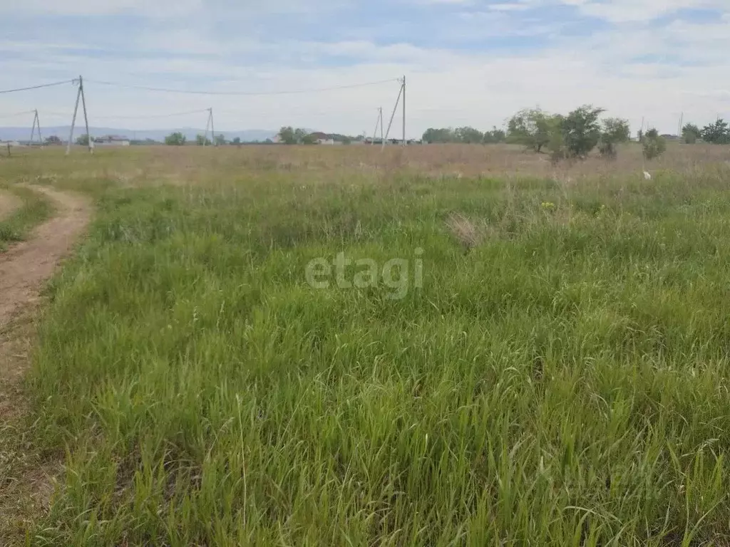 Участок в Хакасия, Алтайский район, д. Кайбалы ул. Бирилюсская (10.0 ... - Фото 0