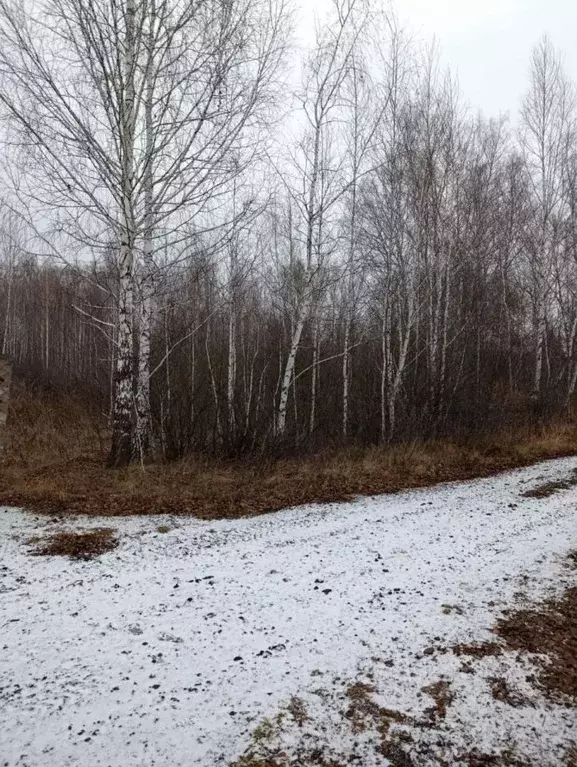 Участок в Челябинская область, Копейск Березка-4 СНТ, 518 (5.89 сот.) - Фото 1