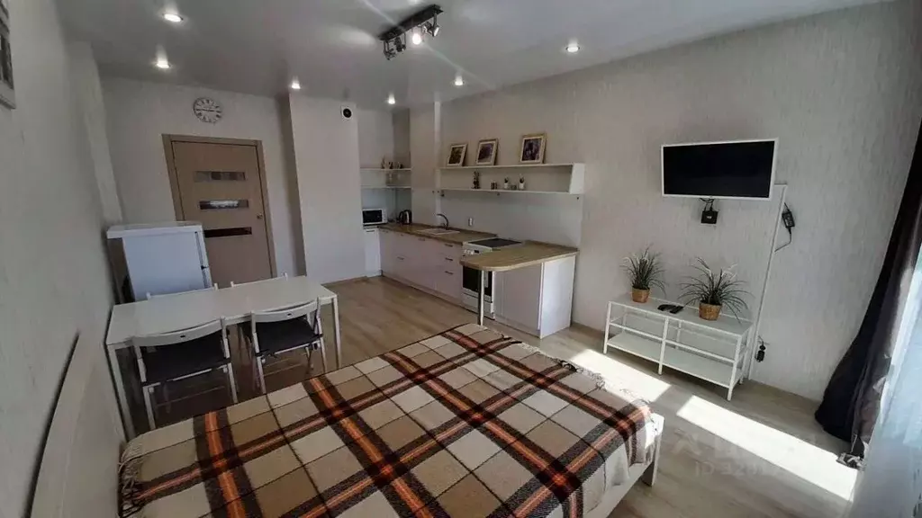 Студия Пермский край, Пермь ул. Революции, 54 (34.0 м) - Фото 2