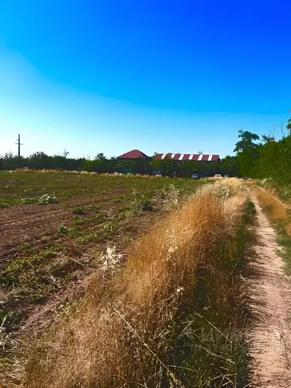 Участок в Краснодарский край, Анапа муниципальный округ, пос. ... - Фото 2