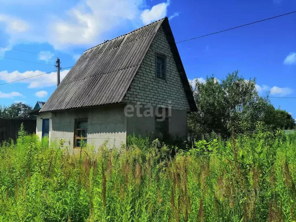 Дом в Брянская область, Брянский район, Чернетовское с/пос, ... - Фото 0