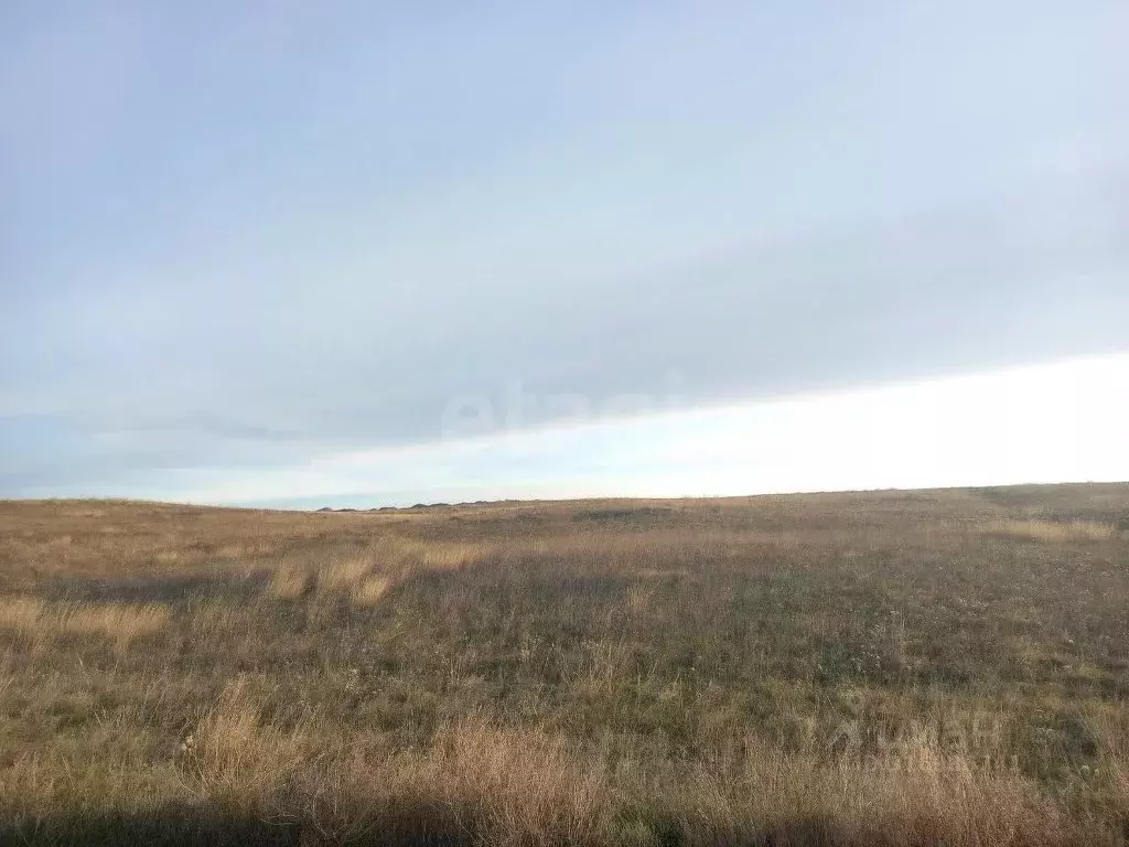 Участок в Крым, Ленинский район, с. Калиновка ул. Абденановой (6.3 ... - Фото 1