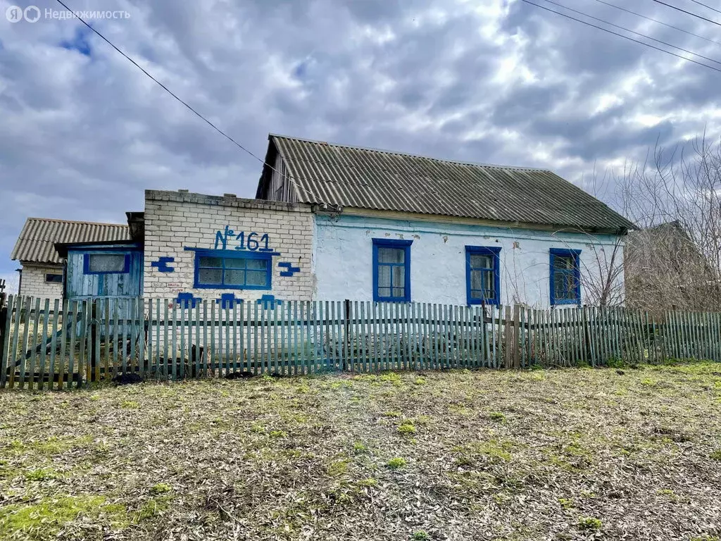 Участок в деревня Староселье, Центральная улица, 161 (61 м) - Фото 0