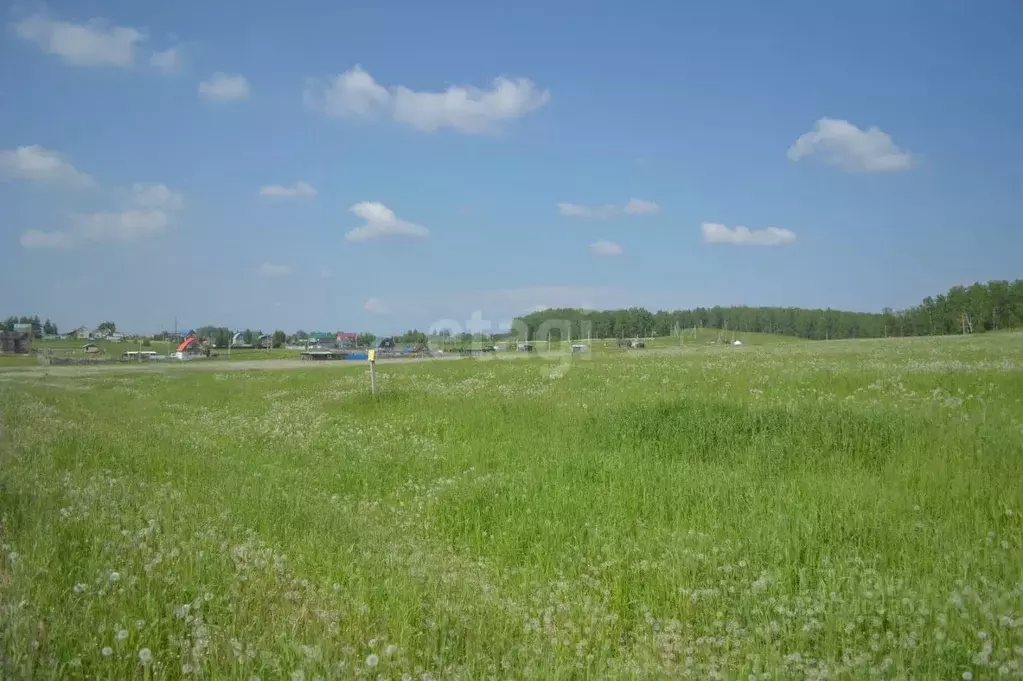 Участок в Кемеровская область, Прокопьевск Сафоново мкр,  (15.0 сот.) - Фото 1