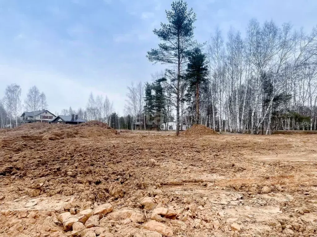 Участок в Ярославская область, Некрасовский муниципальный округ, д. ... - Фото 1