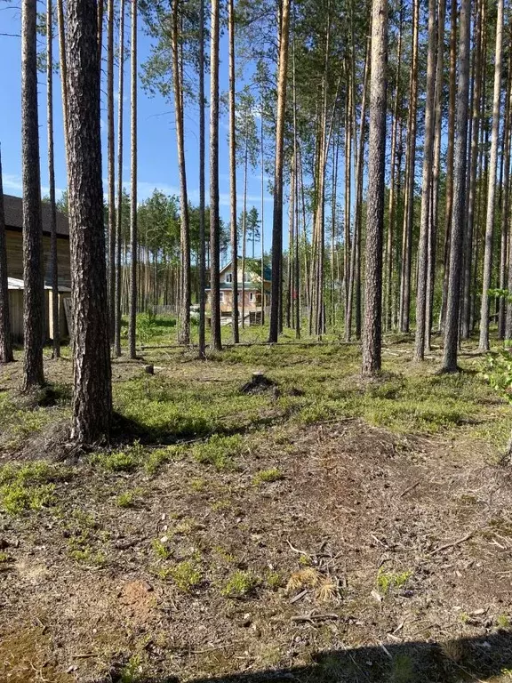Участок в Коми, Сыктывкар городской округ, Краснозатонский пгт ул. ... - Фото 0