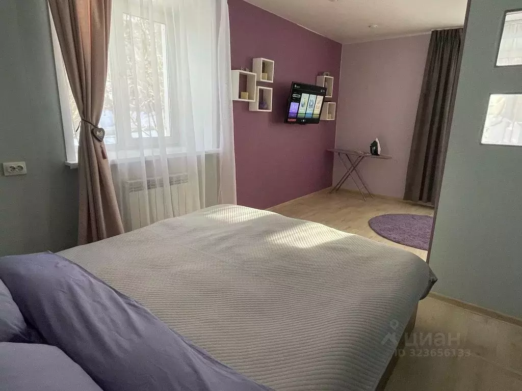 1-к кв. Иркутская область, Иркутск ул. 2-я Железнодорожная, 5Г (35.0 ... - Фото 1