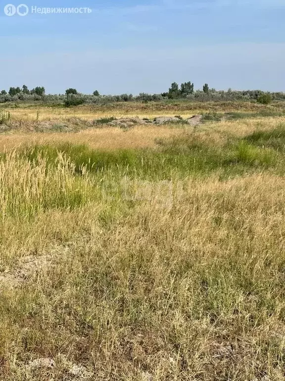 Участок в хутор Обуховка, Сиреневый бульвар (4.6 м) - Фото 2