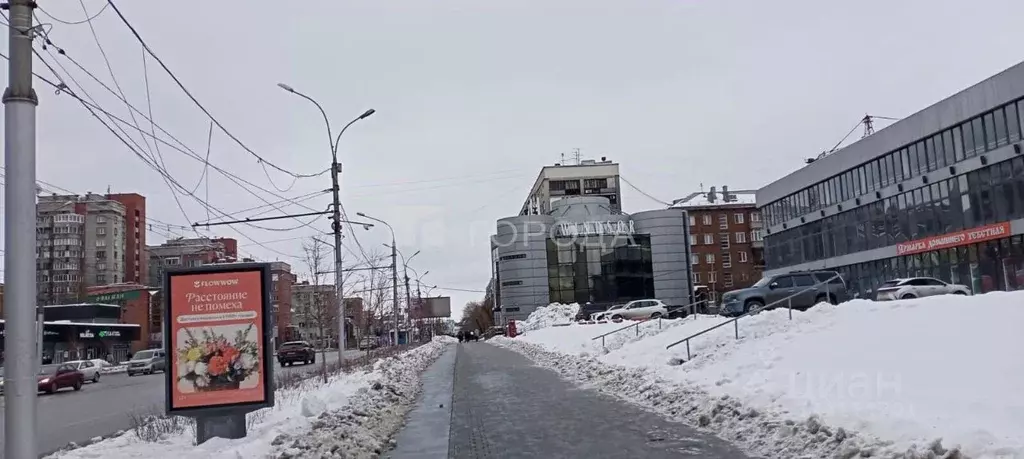 Помещение свободного назначения в Новосибирская область, Новосибирск ... - Фото 1