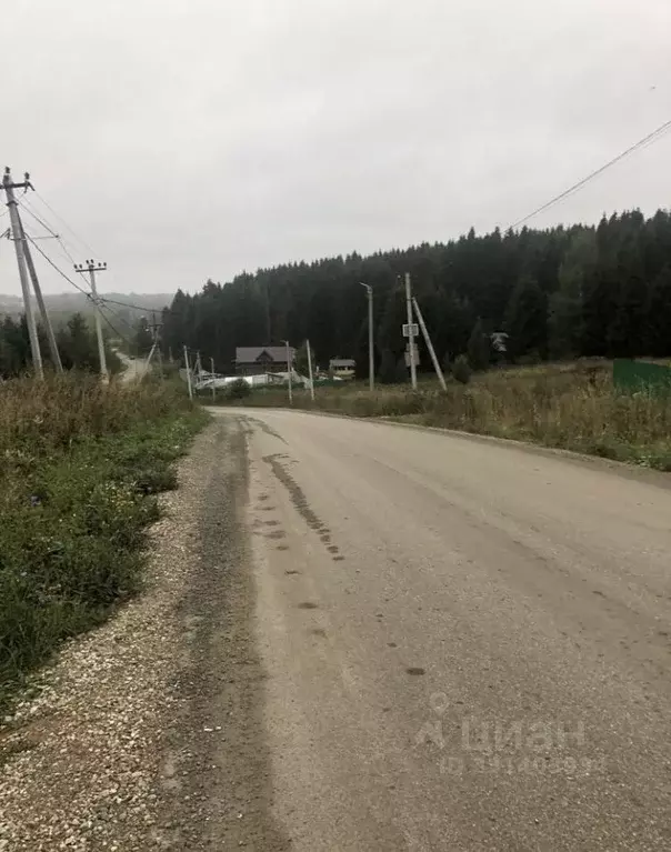 Участок в Пермский край, Пермский муниципальный округ, д. Заозерье ... - Фото 2