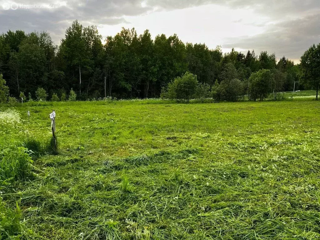 Участок в Тосненский район, Нурминское сельское поселение, деревня ... - Фото 2