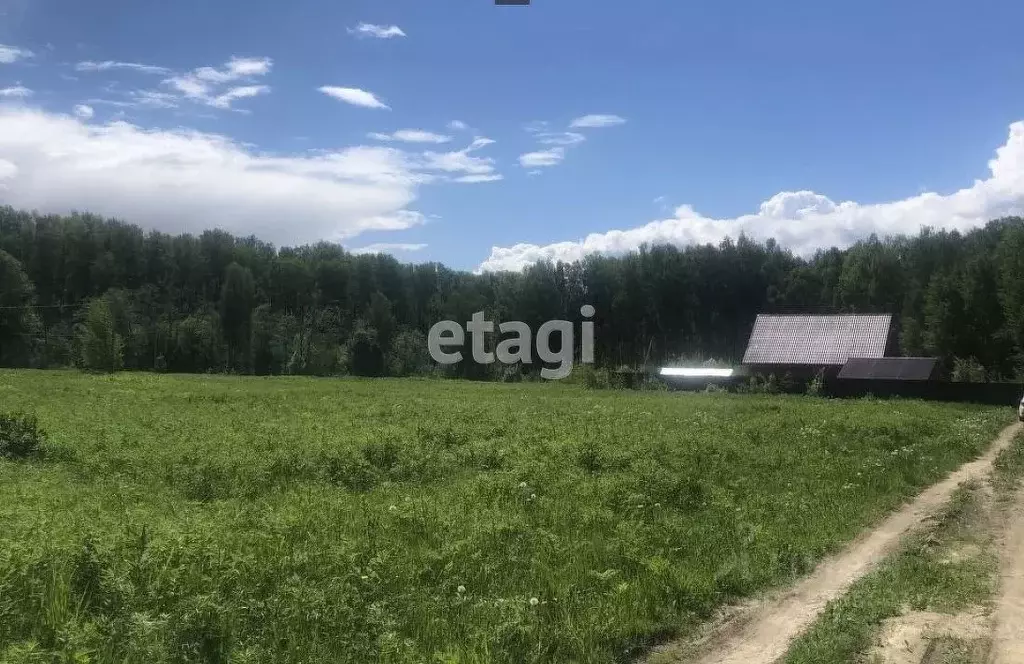 Купить Участок Костромская Область