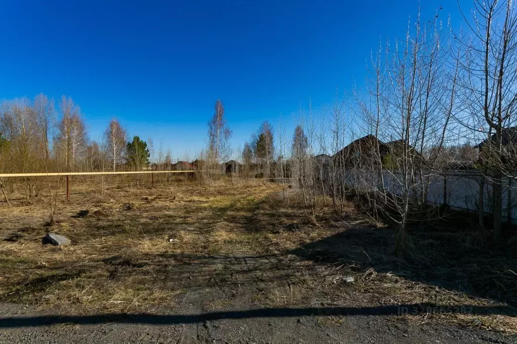 Участок в Новосибирская область, Новосибирский район, Кудряшовский ... - Фото 1