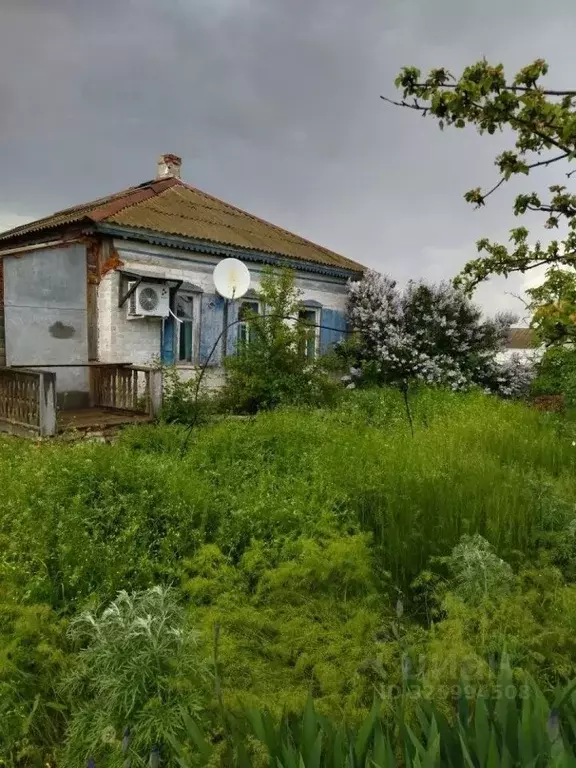 Дом в Волгоградская область, Суровикинский район, Нижнечирское с/пос, ... - Фото 1