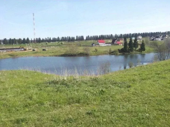 Участок в Пермский край, Пермский муниципальный округ, д. Болгары  ... - Фото 1
