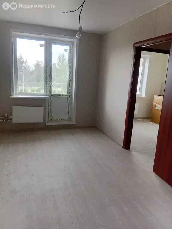 1-комнатная квартира: Саратов, Брянская улица, 12 (24.4 м) - Фото 1