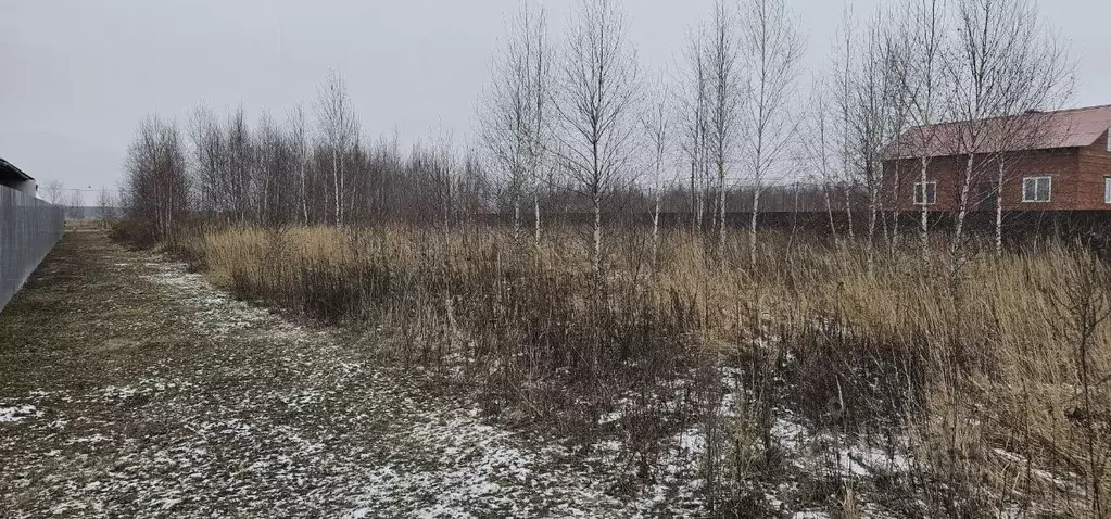 Участок в Московская область, Луховицы муниципальный округ, пос. ... - Фото 0