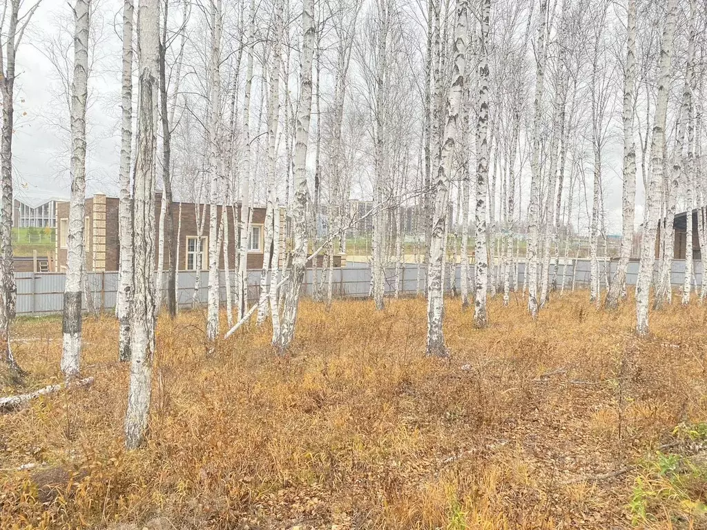 Участок в Иркутская область, Иркутский муниципальный округ, пос. Новая ... - Фото 0