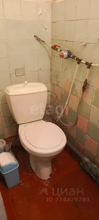 2-к кв. Калмыкия, Целинный район, с. Троицкое ул. Пушкина, 41А (37.1 ... - Фото 2