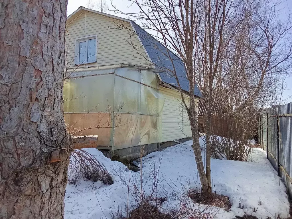 Дом в Московская область, Рузский муниципальный округ, Аннино СНТ 36 ... - Фото 2