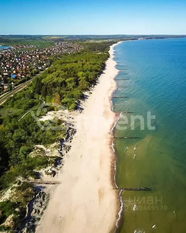 Участок в Калининградская область, Зеленоградский муниципальный округ, ... - Фото 0