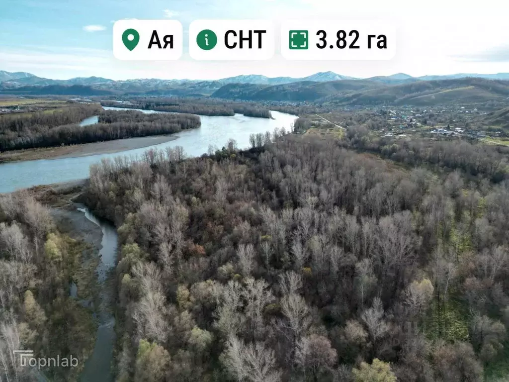 Участок в Алтайский край, Алтайский район, Айский сельсовет, с. Ая ул. ... - Фото 1