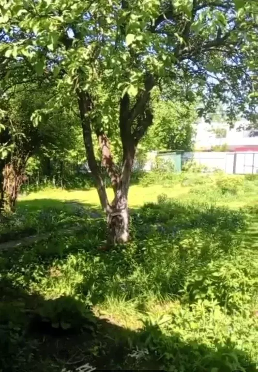Участок в Московская область, Мытищи городской округ, д. Семкино, ... - Фото 2