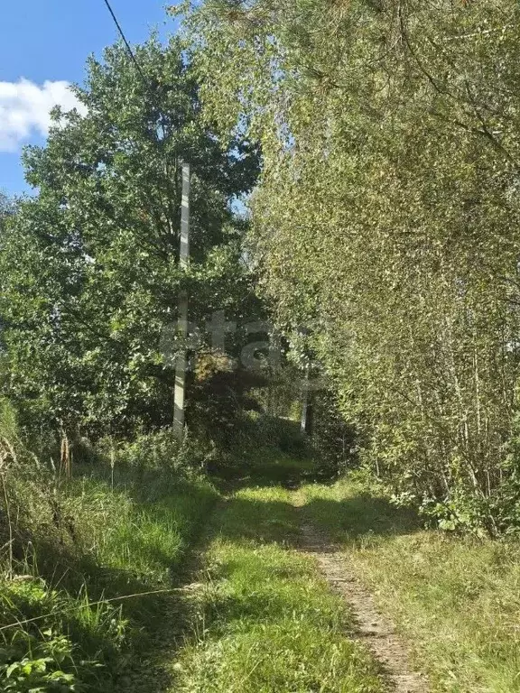 Участок в Калужская область, Дзержинский район, Никольское с/пос, д. ... - Фото 1
