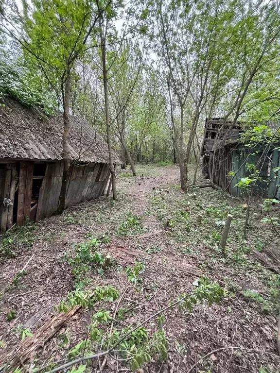 Участок в Рязанская область, Шиловский район, Желудевское с/пос, с. ... - Фото 2