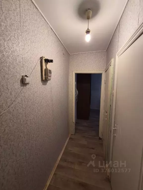 1-к кв. Коми, Сыктывкар ул. Домны Каликовой, 23 (31.2 м) - Фото 2