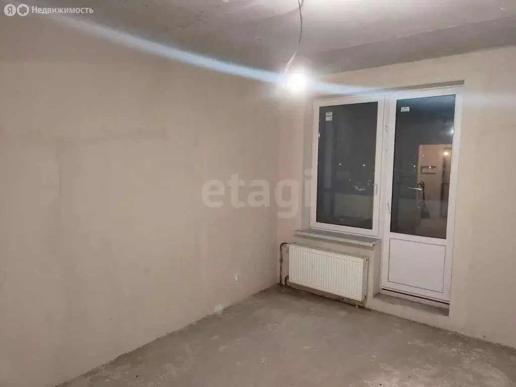 Квартира-студия: деревня Янино-2, Рябиновая улица, 5 (22 м) - Фото 2