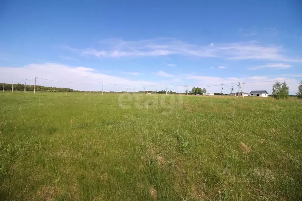 Участок в Алтайский край, Первомайский район, с. Фирсово, Полесье мкр  ... - Фото 1