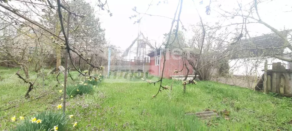 Участок в Краснодарский край, Темрюк ул. Обороны, 2/2 (5.0 сот.) - Фото 1