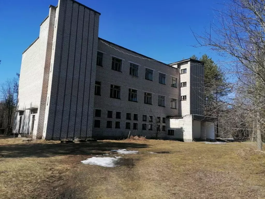 Помещение свободного назначения в Архангельская область, Каргополь ... - Фото 1