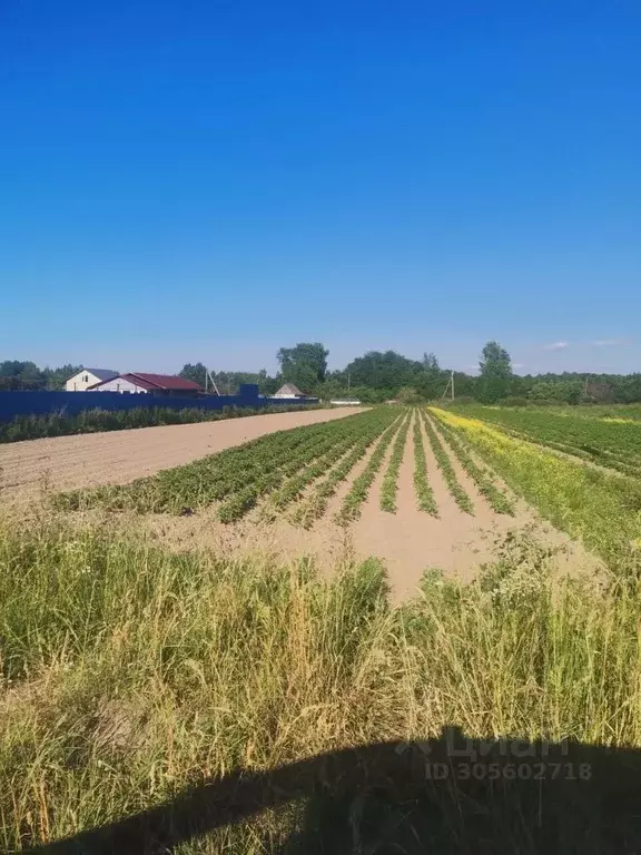 участок в ленинградская область, волховский район, кисельнинское . - Фото 1