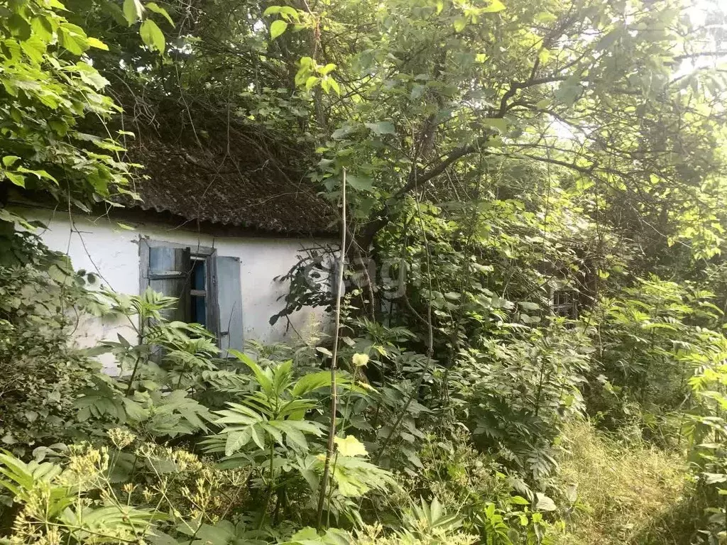 Дом в Адыгея, Гиагинский район, Сергиевское с/пос, Екатериновский хут. ... - Фото 0