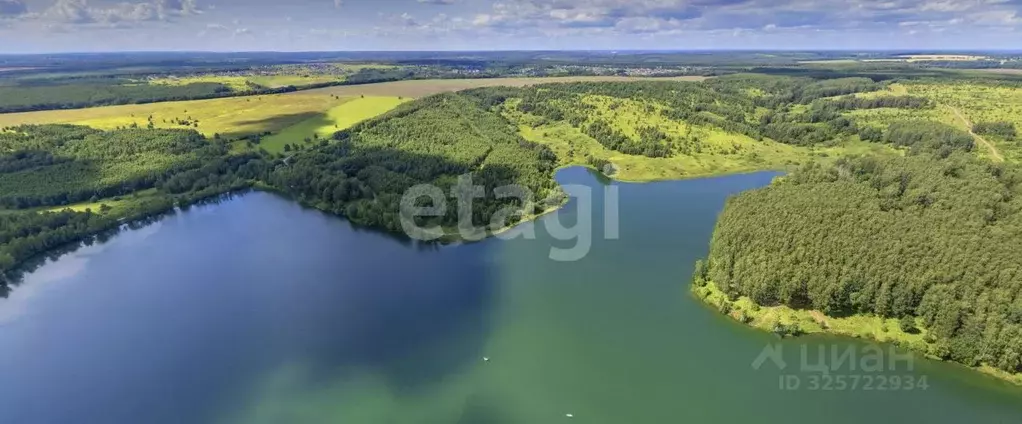 Участок в Нижегородская область, Богородский муниципальный округ, д. ... - Фото 1