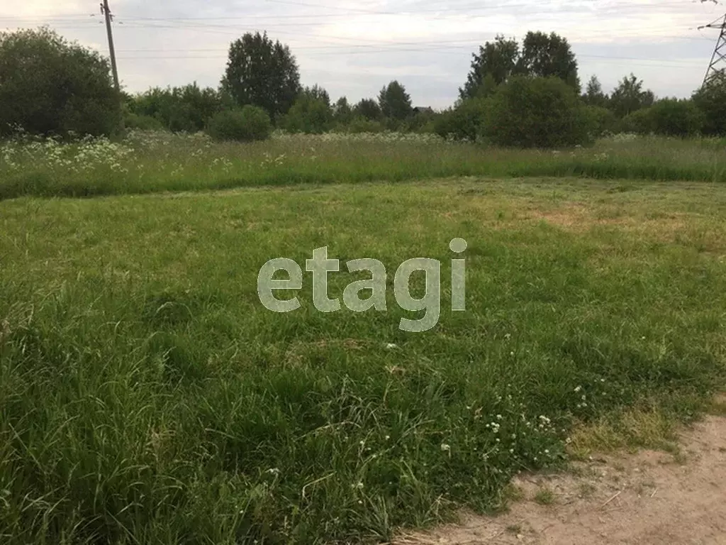 Участок в Вологодская область, д. Курово  (10.0 сот.) - Фото 1