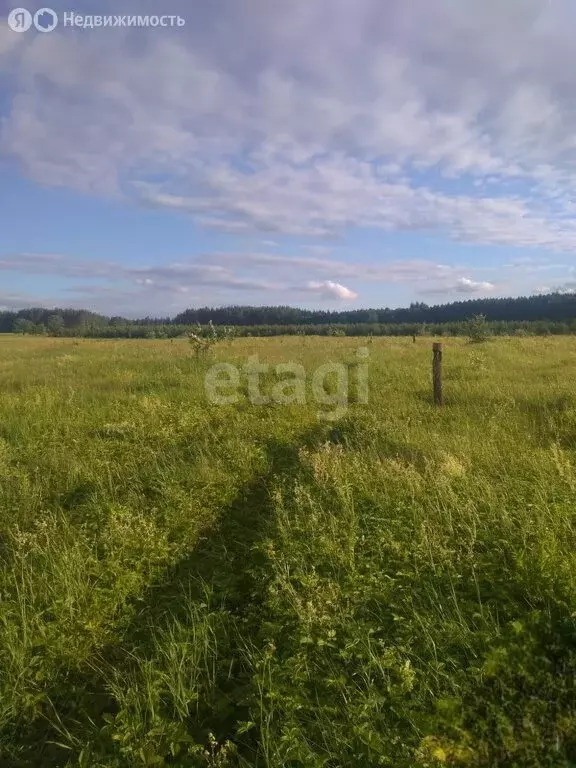 Участок в Гафурийский район, Красноусольский сельсовет, село ... - Фото 1