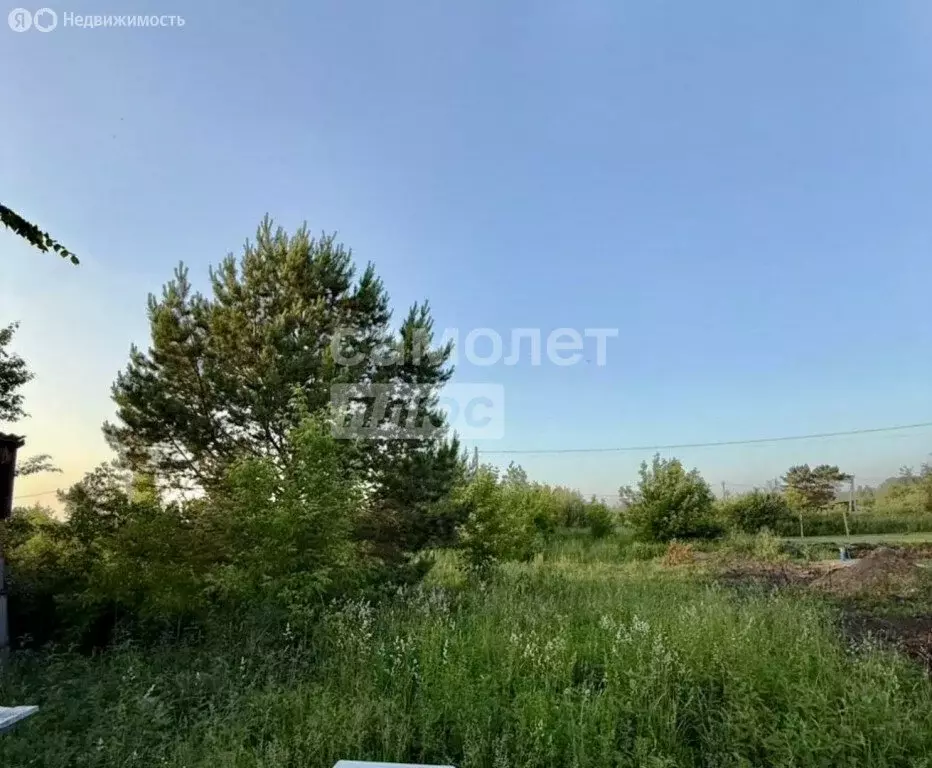 Участок в Бердск, садоводческое некоммерческое товарищество Луч, 17 (6 ... - Фото 1