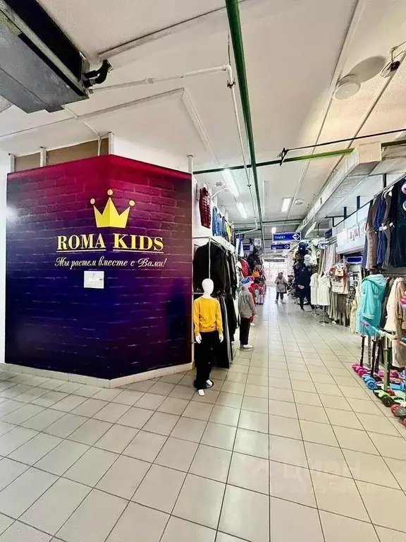 Помещение свободного назначения в Краснодарский край, Геленджик ул. ... - Фото 1