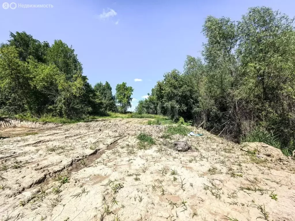 Участок в Каменский сельсовет, микрорайон Гармония (10 м) - Фото 1
